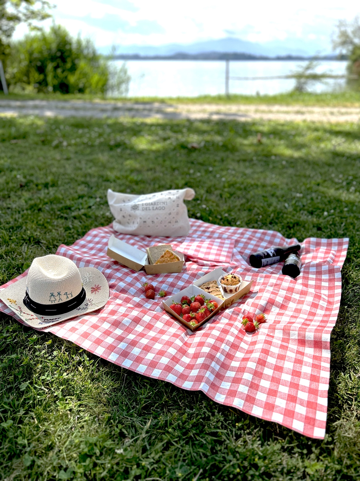 Picnic with lake and mountain view